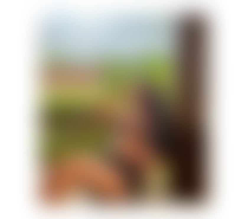 Escorts Romford Havering - Photos for 🔥 Sexy Experienced Bombshell Romford 💋