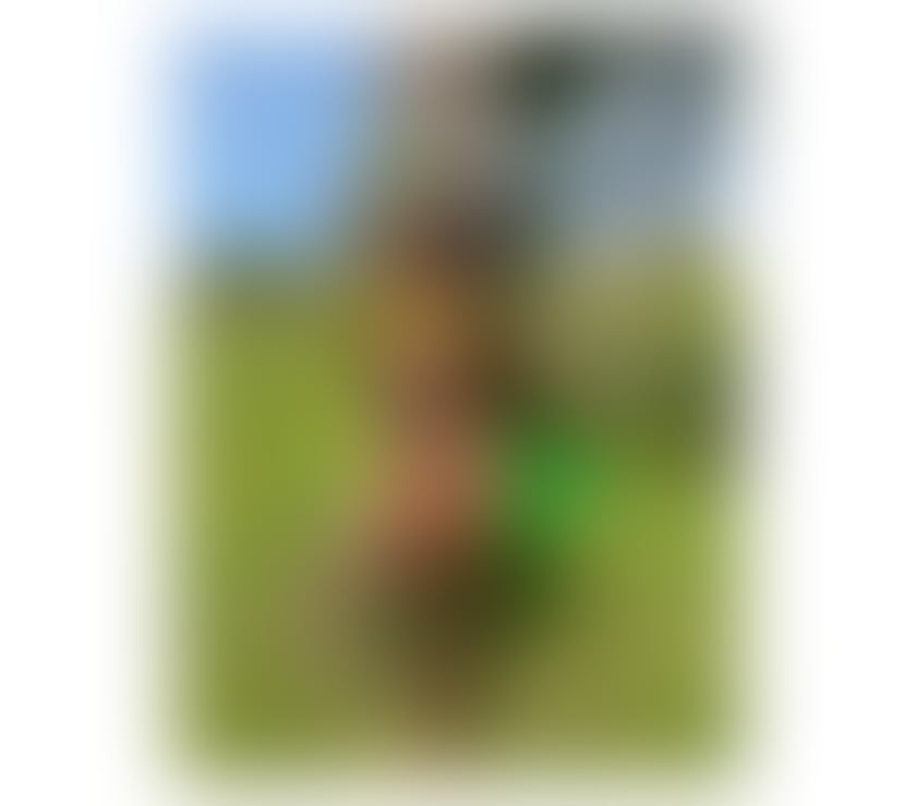 YOURS NEW BRAZILIAN🇧🇷MUSA IN STREATHAM BABES 24H...