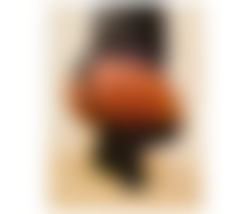 Escorts West Yorkshire Leeds - Photos for Hot Ebony for a limited time !!!