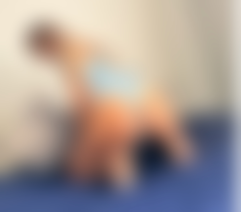 Escorts Gloucestershire Cheltenham - Photos for Selina new in town 💦