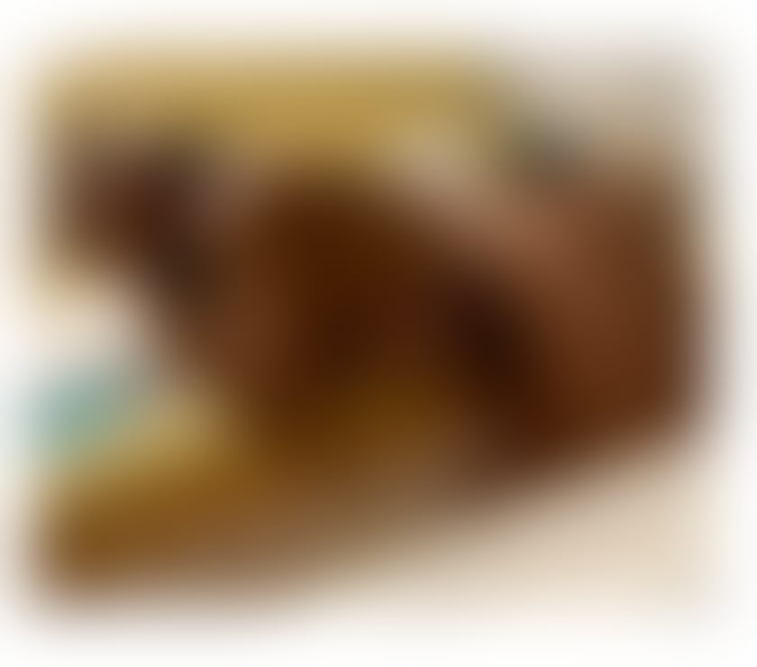 Escorts South West London South Wimbledon - South West London - Photos for Sexy ebony 💝 Pamela 💕pics 💯 real. SW19