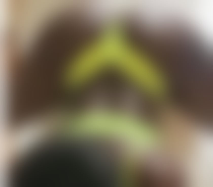 Escorts Liverpool City Centre Liverpool - Photos for I am a black goddess! You will leave wanting more💋