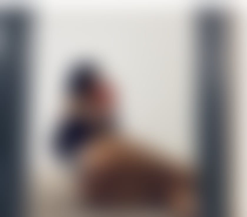 Escorts Essex Thurrock - Essex - Photos for Hi new girl in town