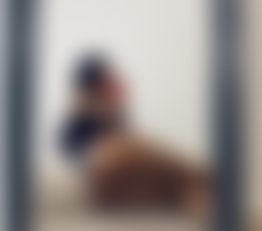 Escorts Essex Thurrock - Essex - Photos for Hi new girl in town