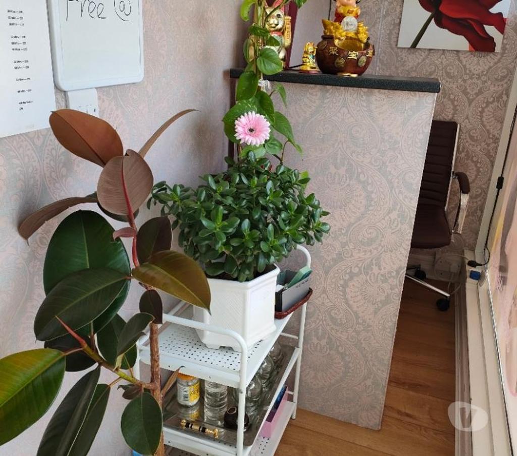 Full body massage Hertfordshire Dacorum - Photos for Chinese massage
