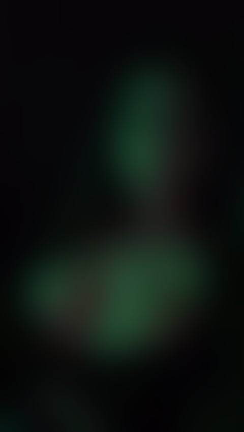 Escorts Merseyside Liverpool - 