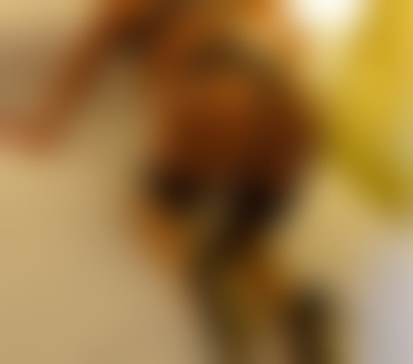 Escorts Flintshire - Wales Garden City - Flintshire - Photos for Escort and massage