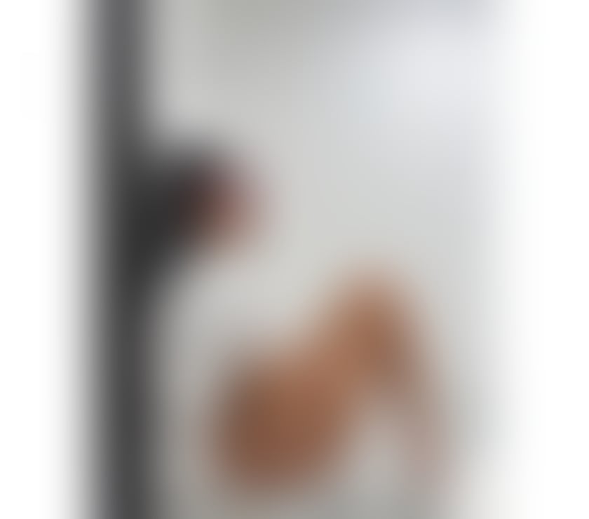 Escorts Brent Cross North West London - Photos for I am Gina a independent escort whit big ass and tits.