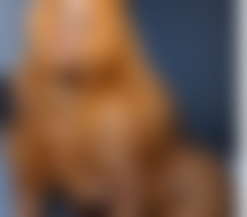 Escorts Greater Manchester Manchester - Photos for Onlyfans Indian Jasmine