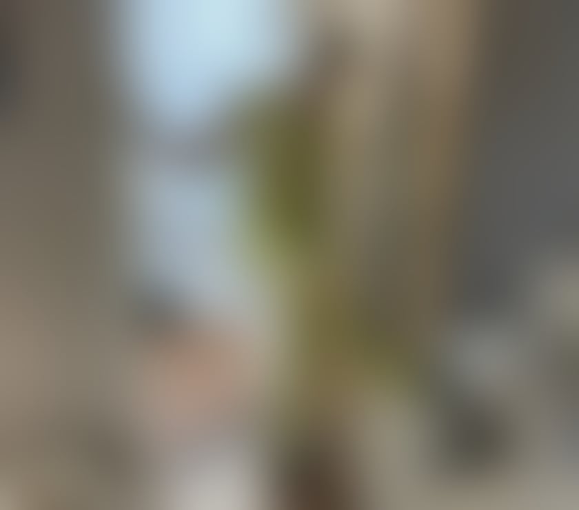Escorts Essex Chelmsford - Photos for Sexy 100% English Essex True Blond 37 years old filthy minx