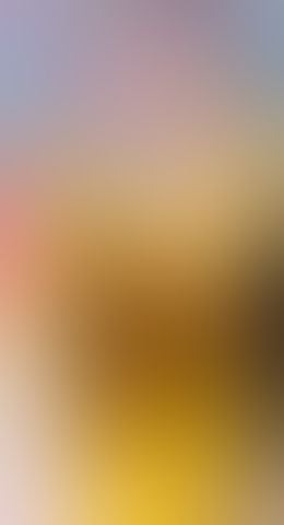 Trans Escorts West Midlands Birmingham - 