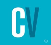 CV Writing - Professional CV Writer. CV Writing Service.