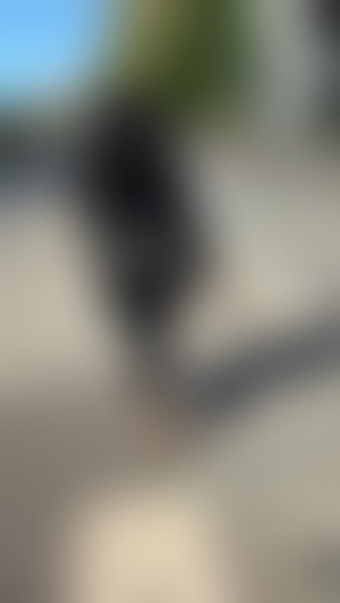 Escorts Central London Marylebone - Central London - 