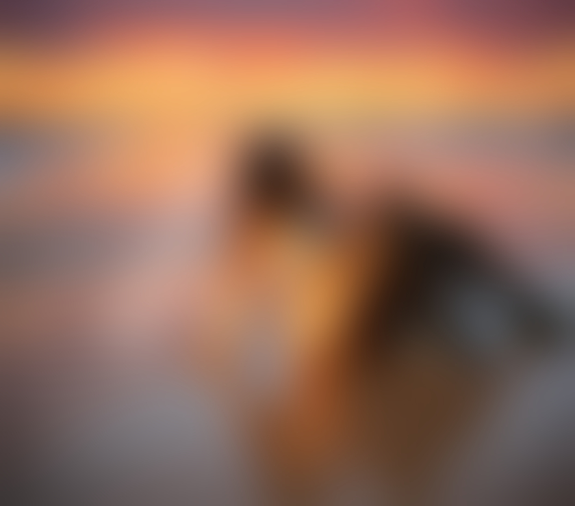 Escorts Central London Marylebone - Central London - Photos for 🌹CANADIAN EBONY GODDESS ♥️