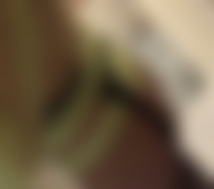 Trans Escorts Tyne and Wear South Tyneside - Photos for Sexy English CD bottom in South Shields & Content available