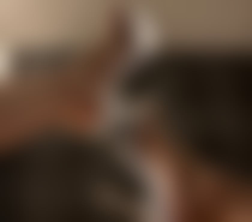  Gay massage Tyne and Wear Newcastle upon Tyne - Photos for Looking to try a piece of the exotic!?!