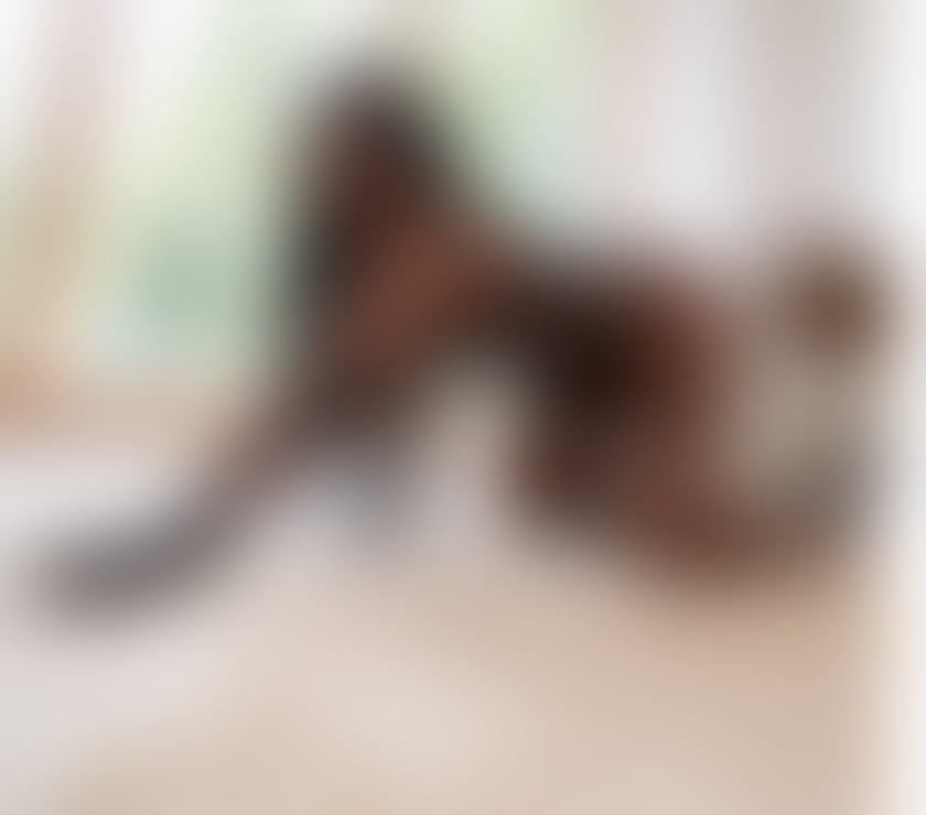 Escorts Dorset Bournemouth, Christchurch and Poole - Photos for Ebone chocolate