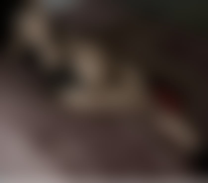 Escorts West Northamptonshire Northampton - West Northamptonshire - Photos for 🔞 Best Owo🔞🍌Just try it🔞❗️💋