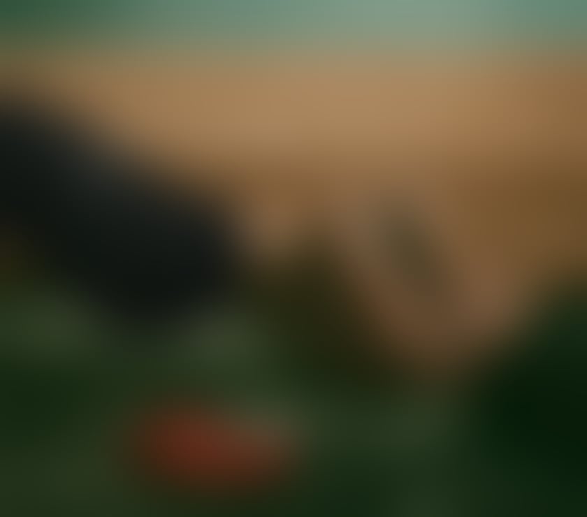 Escorts West Northamptonshire Kingsthorpe - West Northamptonshire - Photos for 🔥Hot Brunette 🔥