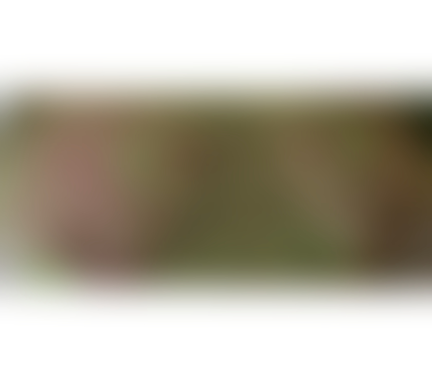 Escorts Essex Chelmsford - Photos for SWEET DIANA 💗BEST GFE 💗