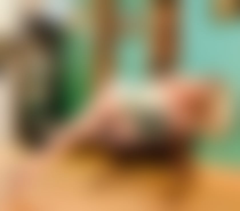 Escorts Barking and Dagenham Dagenham - Barking and Dagenham - Photos for Eva From Essex 💋