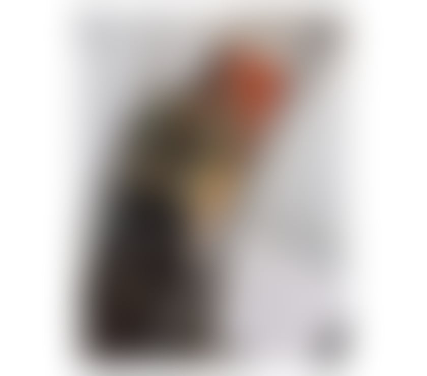 Escorts Buckinghamshire Iver - Buckinghamshire - Photos for Irresistible London Escort 🔥 Tailored for You ❤️