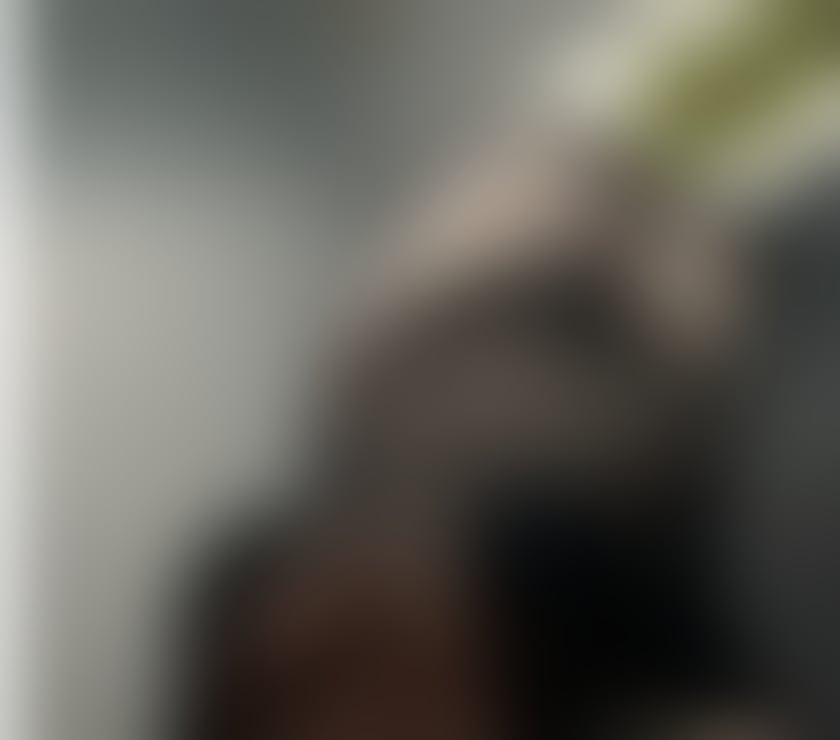 Escorts Neath Port Talbot - Wales Skewen - Neath Port Talbot - Photos for Curvy and busty