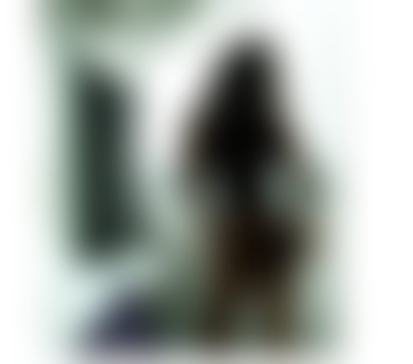 Escorts Glasgow Glasgow City Centre - Glasgow - Photos for 🔥🔥Hot GFE and party 🎉 Bkack Latina💃🏾