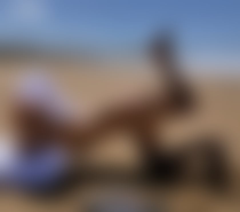 Trans Escorts North London Archway - North London - Photos for Whatsapp for booking,Elsa
