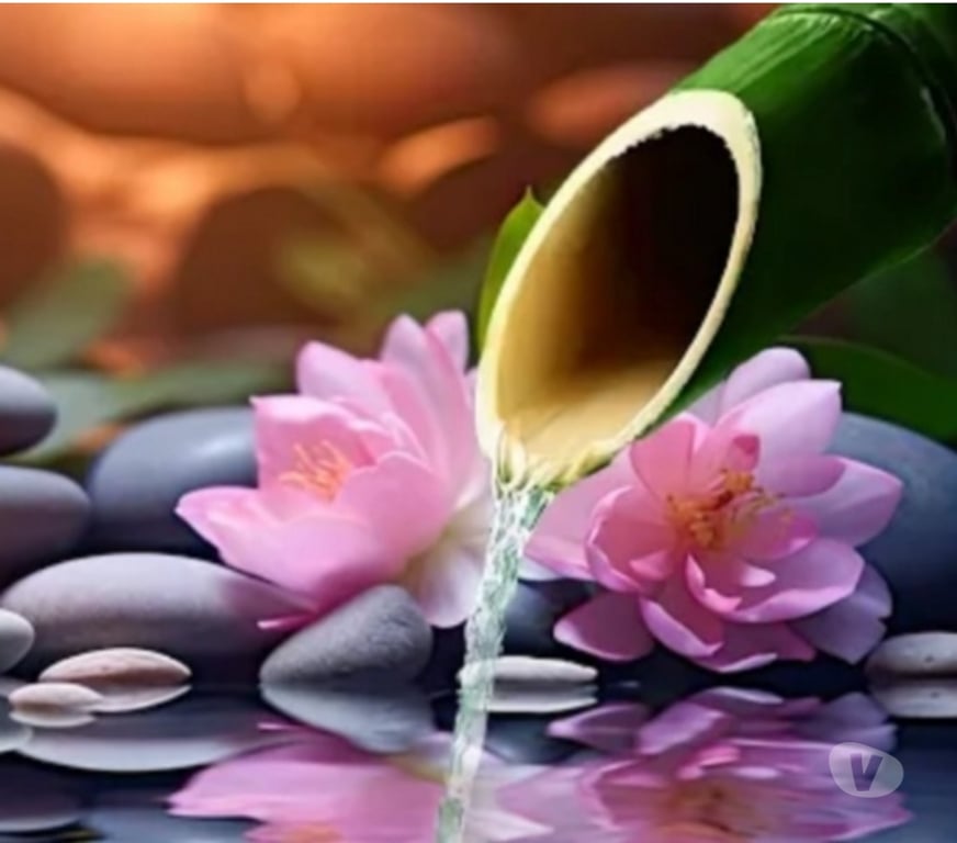 Escorts Merseyside Liverpool - Photos for Certified Massuese. The best technics