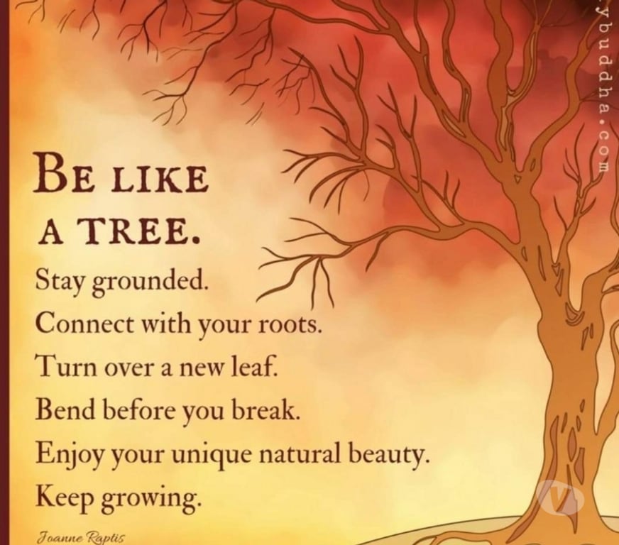 Escorts Merseyside Liverpool - Photos for Certified Massuese. The best technics