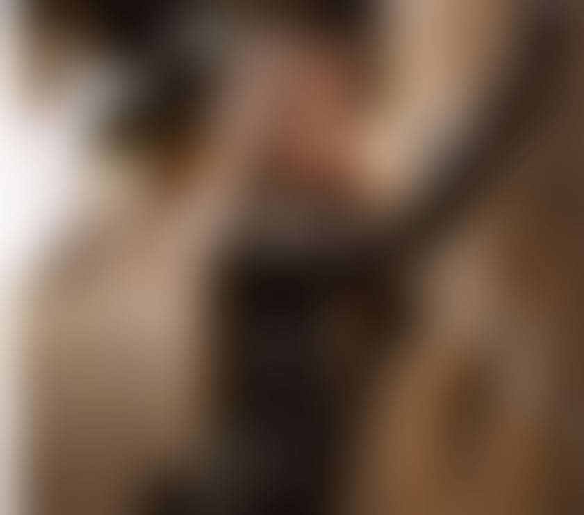 Trans Escorts West Yorkshire Leeds - Photos for 5 ✨TS KRISTENSEN BEGINNING EXP.24HR PARTYS Leerds.