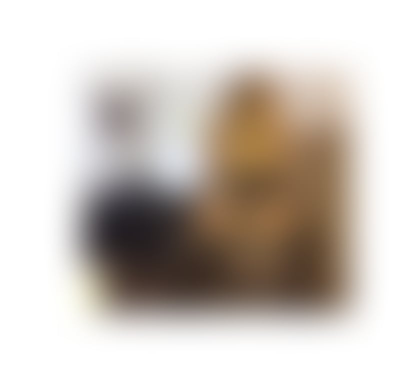 Escorts West Yorkshire Kirklees - Photos for Victoria new girl