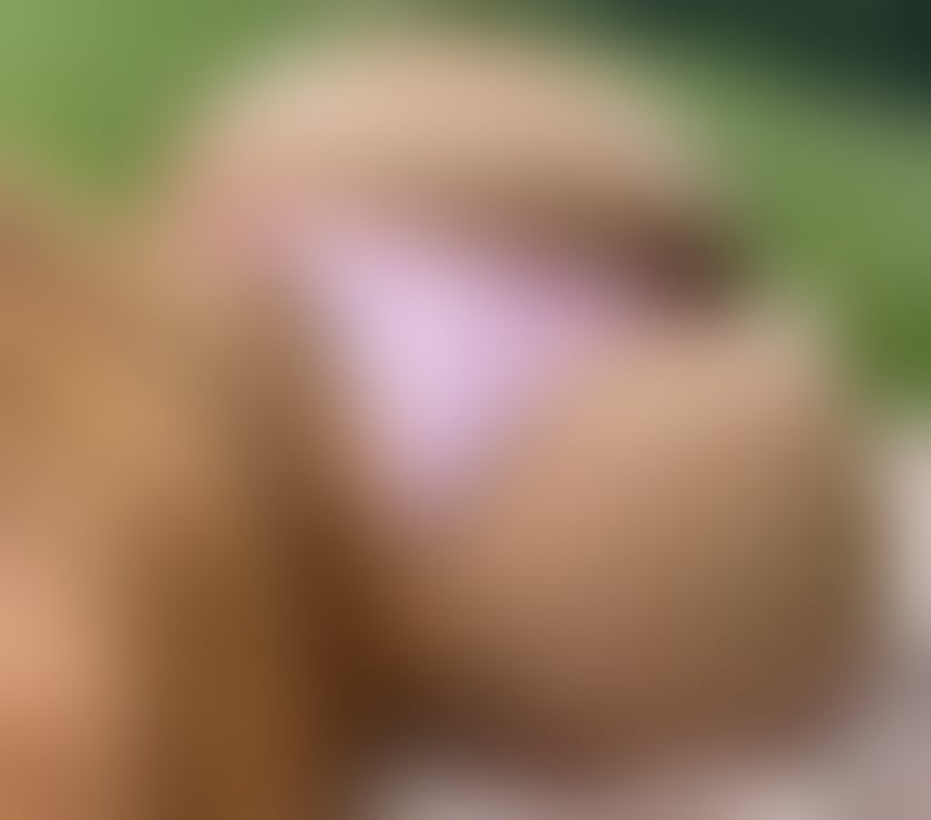 Escorts West Midlands Birmingham - Photos for 🌴🩷 100% REAL PICS High Class British Goddess 🩷