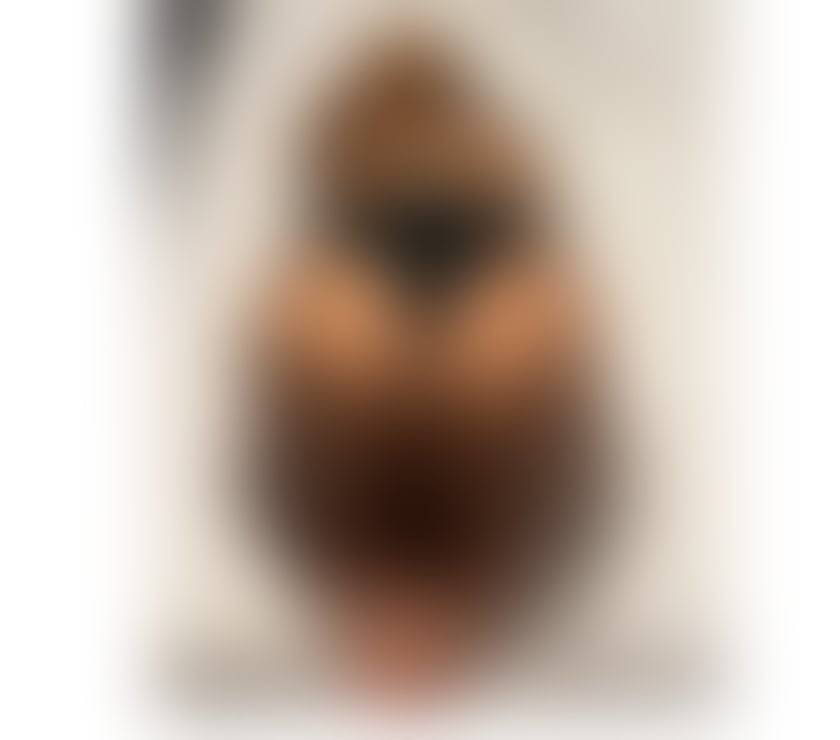 Escorts Luton Town Centre Luton - Photos for Golden Brazilian ❤️