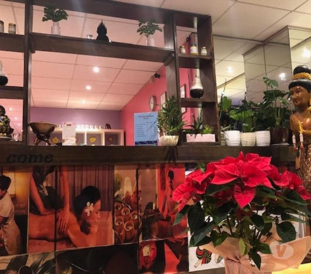 Full body massage East London Havering - Photos for Full Body Massage. Thai Massage