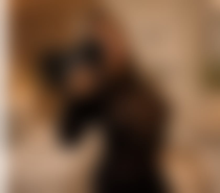Escorts Warwickshire Warwick - Photos for Sexy Hot Blonde Party ‼️