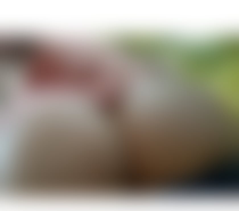  Gay massage Essex Braintree - Photos for Full service available in Essex