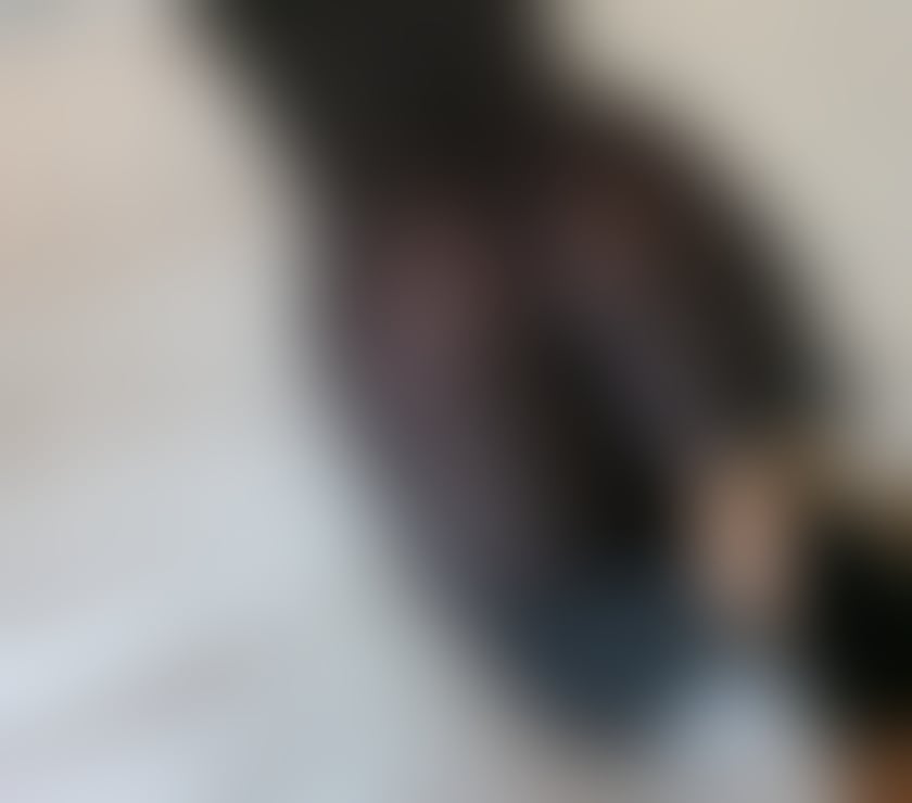Escorts Leicestershire Leicester - Photos for Ebony BBW at your service