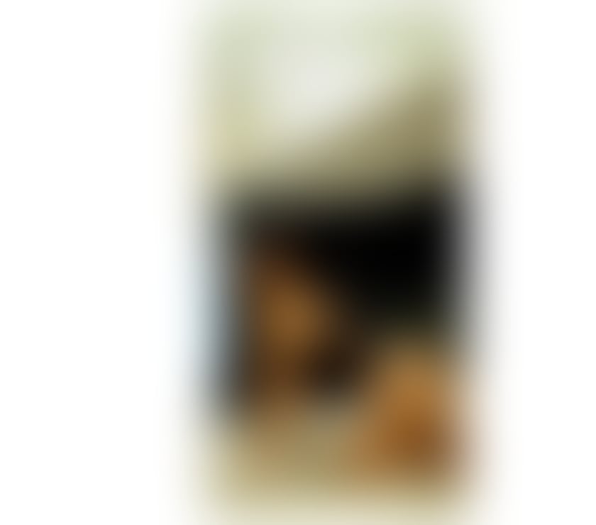 Escorts West Midlands Birmingham - Photos for Hot girl best service Lara