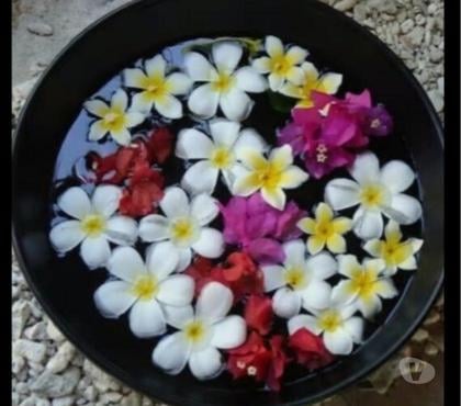 Full body massage Banbury Cherwell - Photos for Exquisite Thai massage