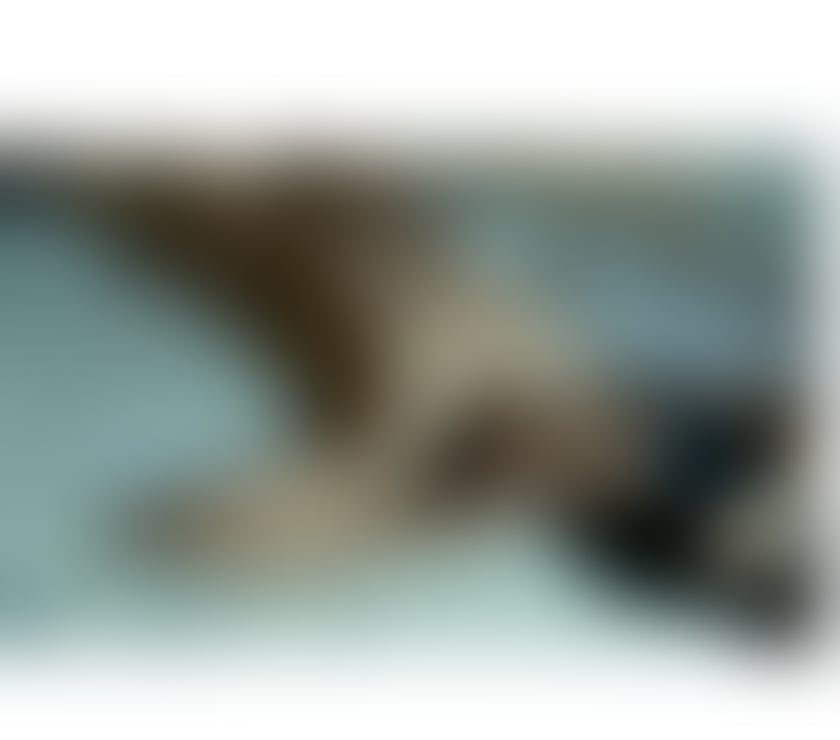 Escorts & Erotic Massage Netherthorpe Sheffield - Photos for NEW IN TOWN 🔞INCALL AND OUTCALL 🔞24 7