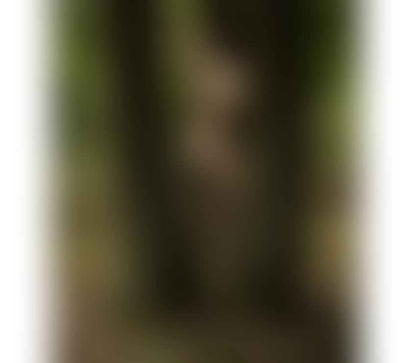  Escorts Downswood Maidstone - Photos for Only today VANESSA ❤️SENSUAL MASSAGE MAIDSTONE❤️