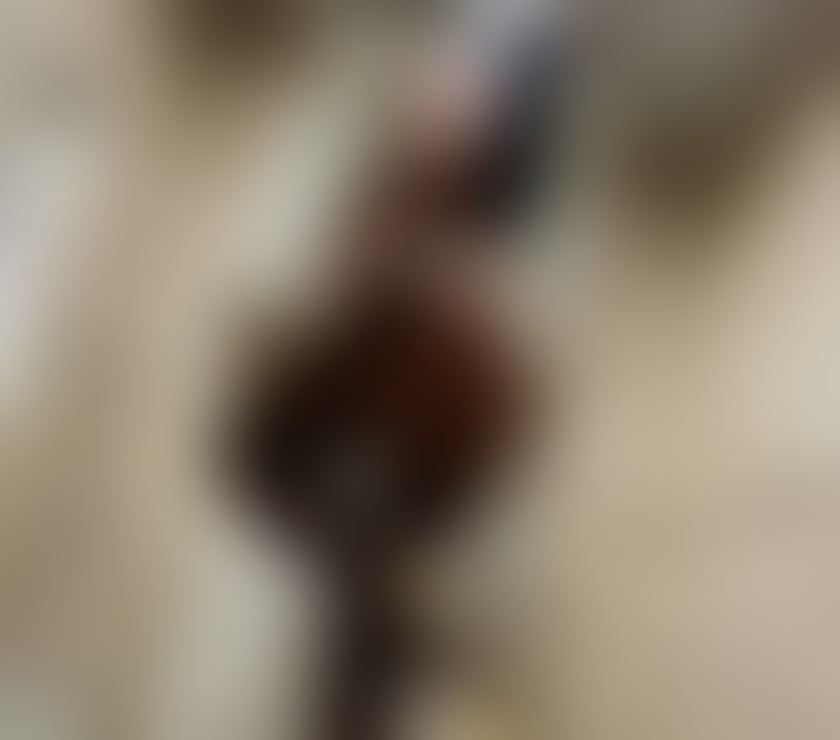 Escorts Rochester Medway - Kent - Photos for 🥳 sexy Brunete 💯 new in town 👉 REAL ❤️