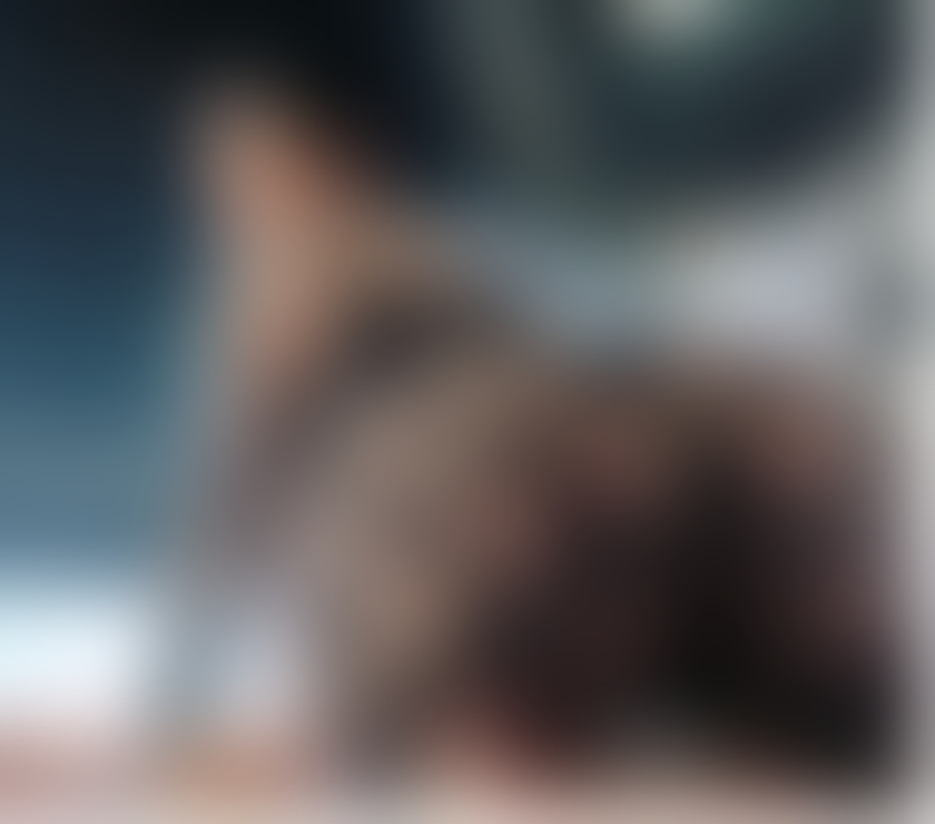 Escorts East London Barking Station - East London - Photos for 🥰SOFIA I I AVAILABLE in NOW Finchley🔥