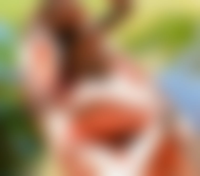 Photos for 🔝❤️ KATYA NEW ESCORT PARTY GIRL💥💥 ❤️🔝