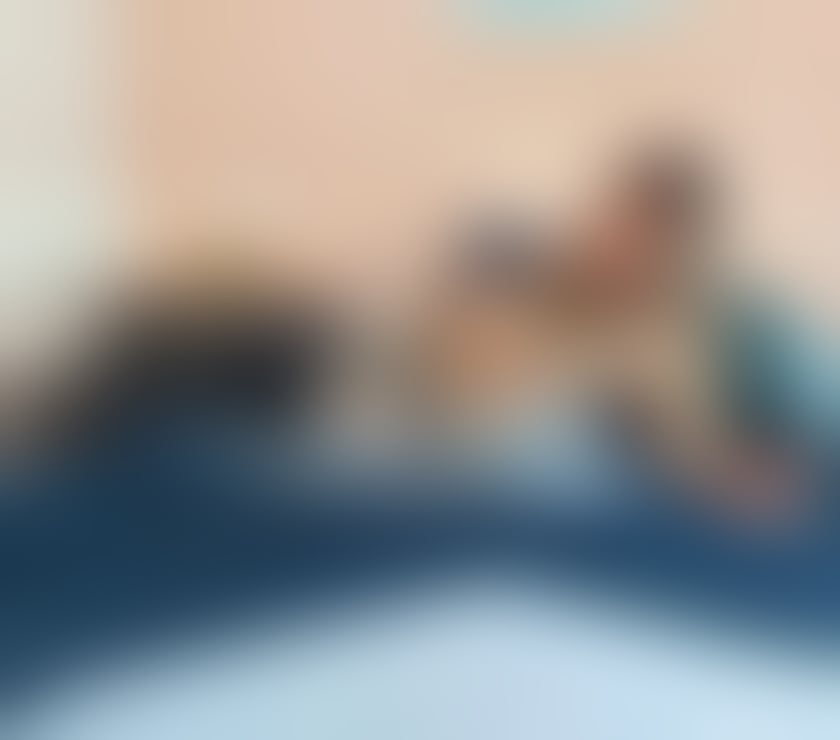 Trans Escorts Edinburgh Edinburgh - Edinburgh - Photos for Dominatrix from Brasil 🇧🇷