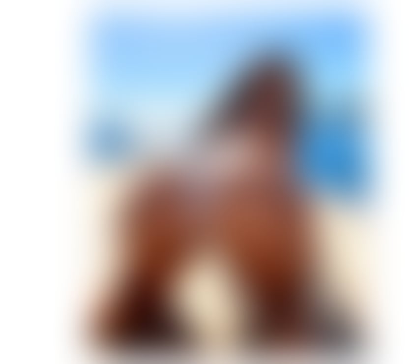 Escorts Merseyside Liverpool - Photos for JU TOP 100%realy beautiful brazilian first time in the city