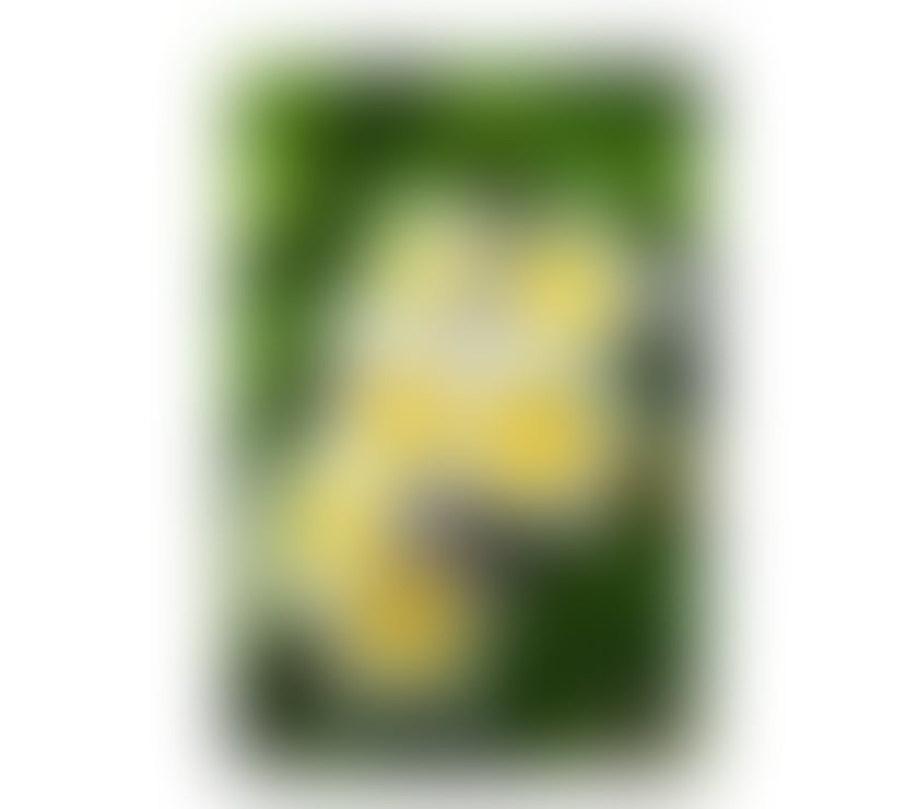 naughty dating Hyndland Glasgow - Photos for REAL FOR LADIES & MORE 2024!!!