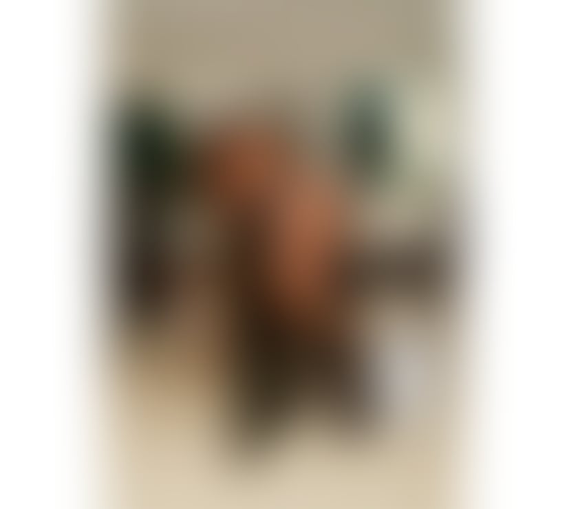 Trans Escorts Dundee Dundee City Centre - Dundee - Photos for EBONY TS BACK IN TOWN!!! NAUGHTY JULIA!!!